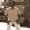 Mieszko_kR13 - Homme Jeune